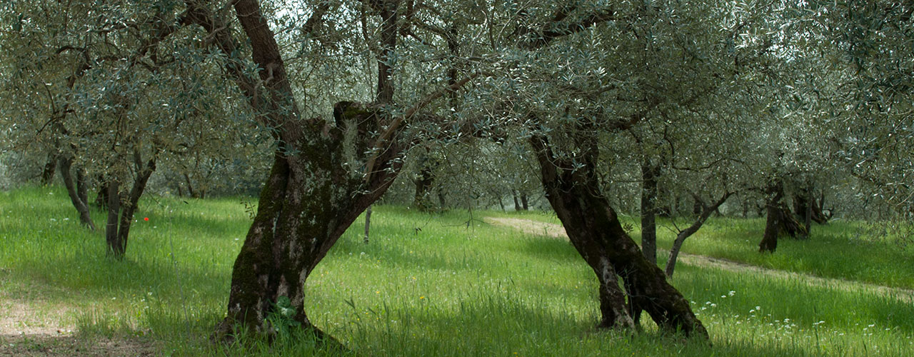 Il legame con il Territorio